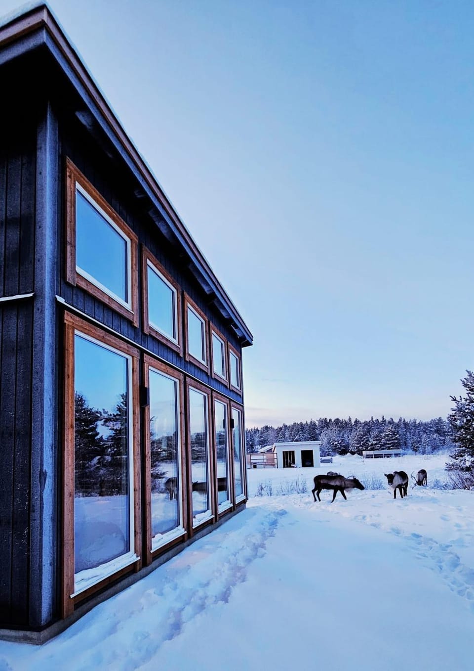 Property building, Day, Winter, Animals