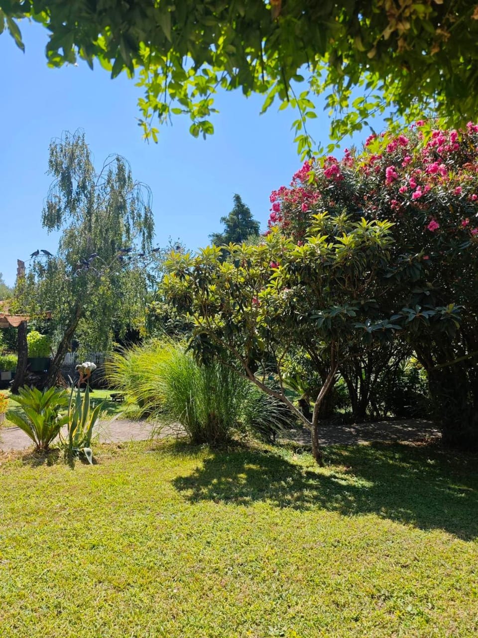 Day, Garden, Garden view