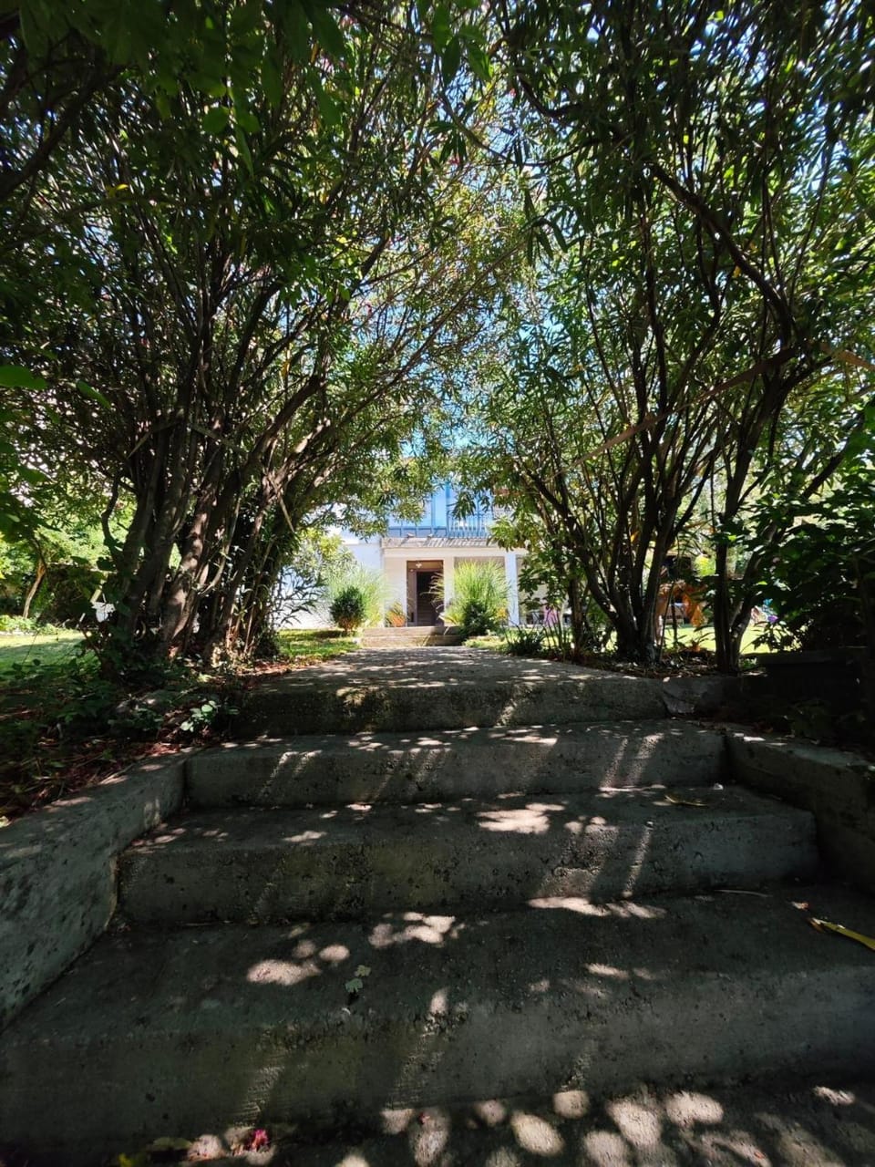 Day, Natural landscape, Garden, Garden view