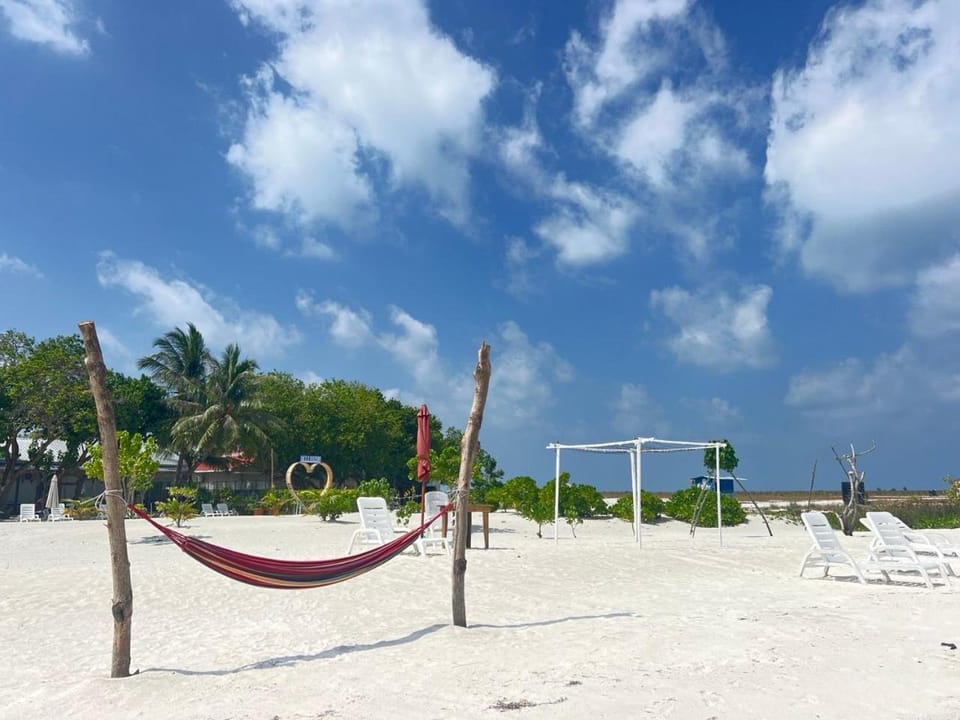 Day, Natural landscape, Beach, Sea view