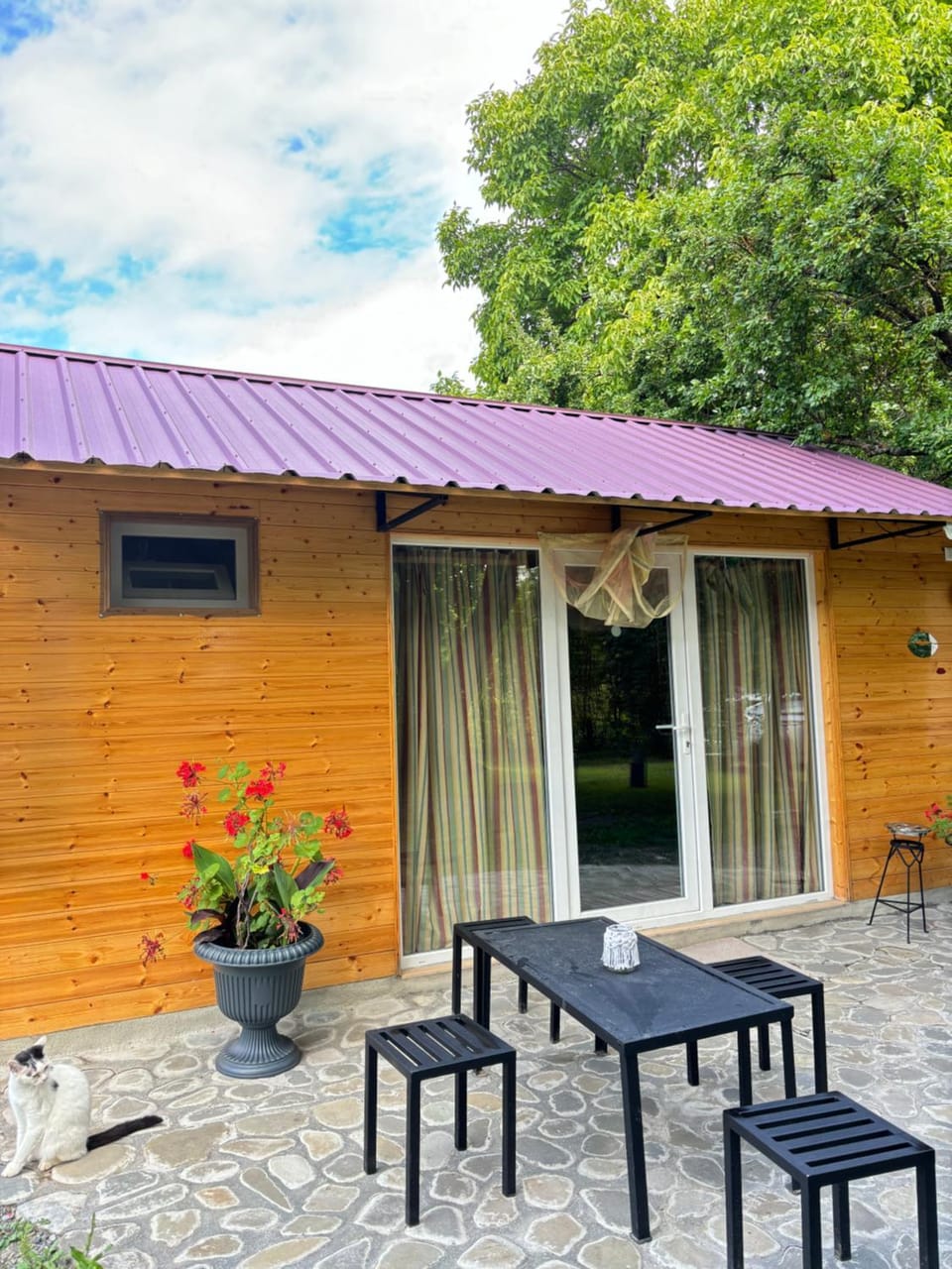 Cottage Kisi Campground/ 
RV Resort in Georgia