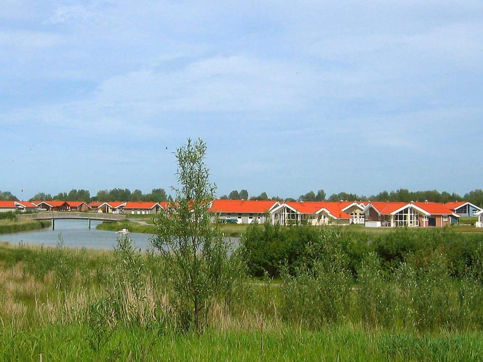 Lake view