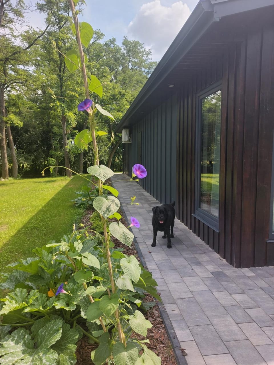 Figarnia na Roztoczu Chalet in Poland