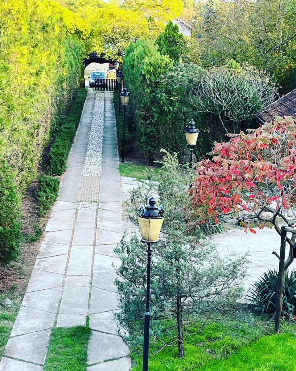 Spring, Garden, Garden view