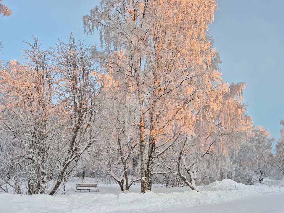 Tilava uudistettu perheasunto Apartment in Rovaniemi