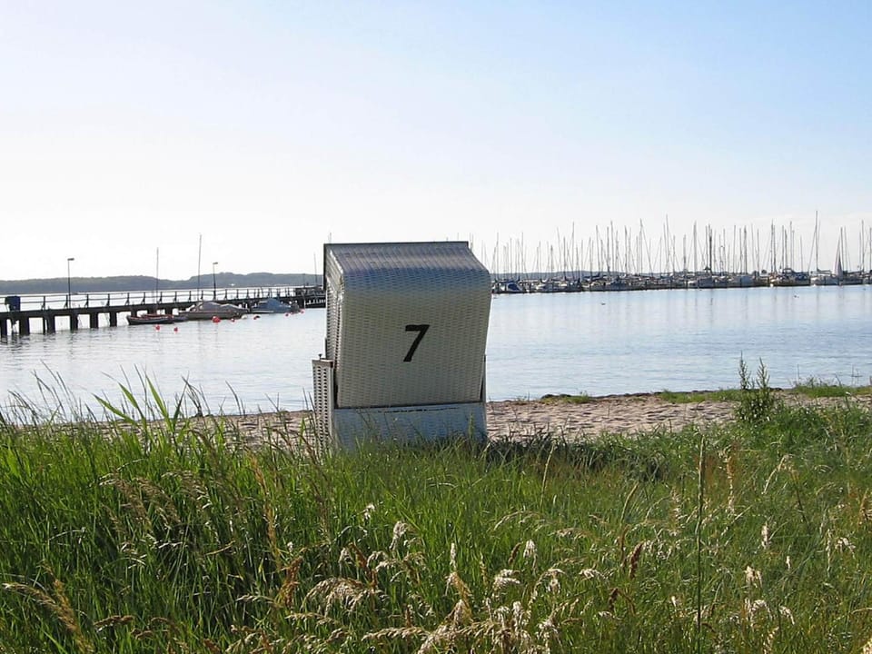 Lake view