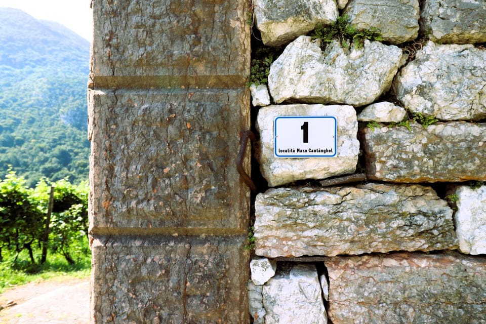 Maso Cantanghel wine retreat Apartment in Trentino-South Tyrol