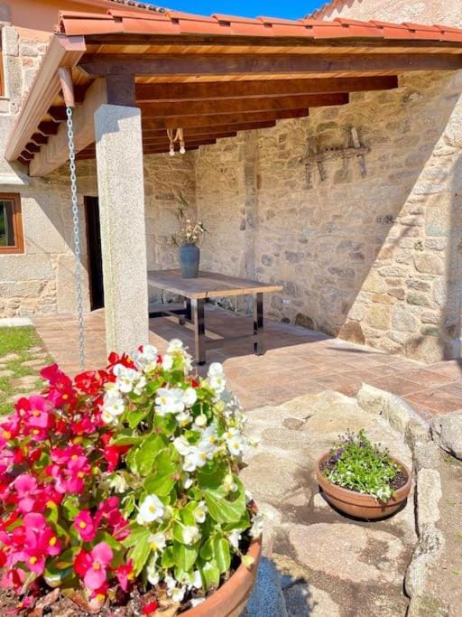 Patio, Dining area