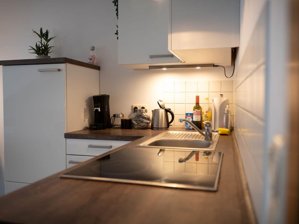 Kitchen or kitchenette, minibar, pet friendly, stove