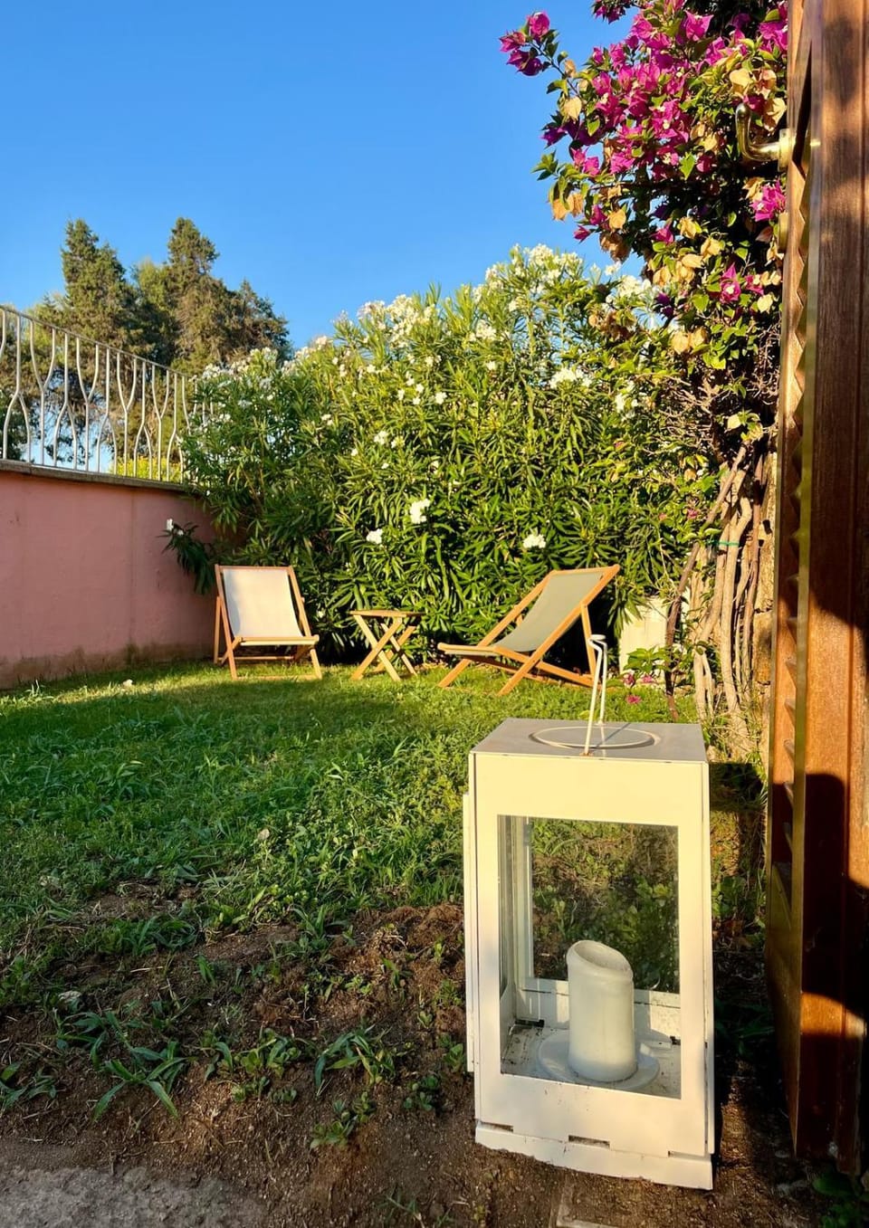 Garden view