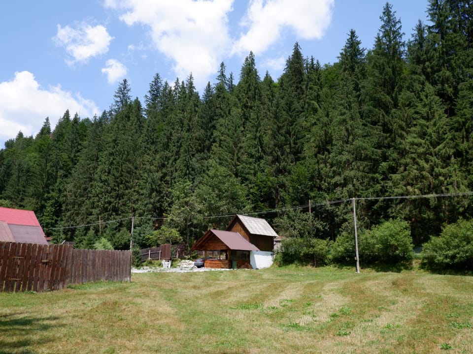 Natural landscape, Garden