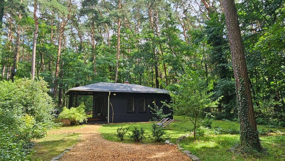 Property building, Natural landscape, Garden, Garden view
