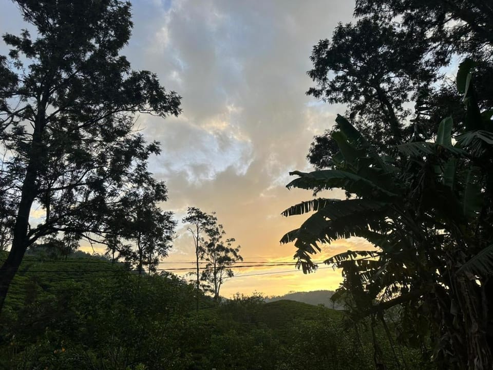 Natural landscape