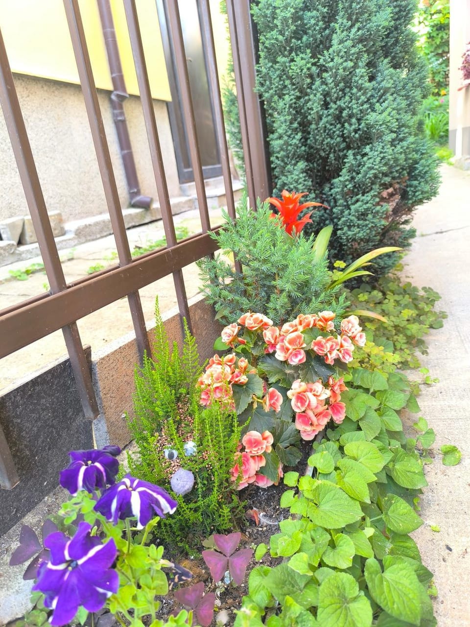 Spring, Day, Garden, Garden view