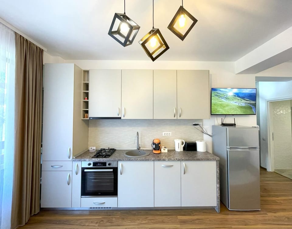 TV and multimedia, Coffee/tea facilities, dishwasher, stove, toaster, kitchen