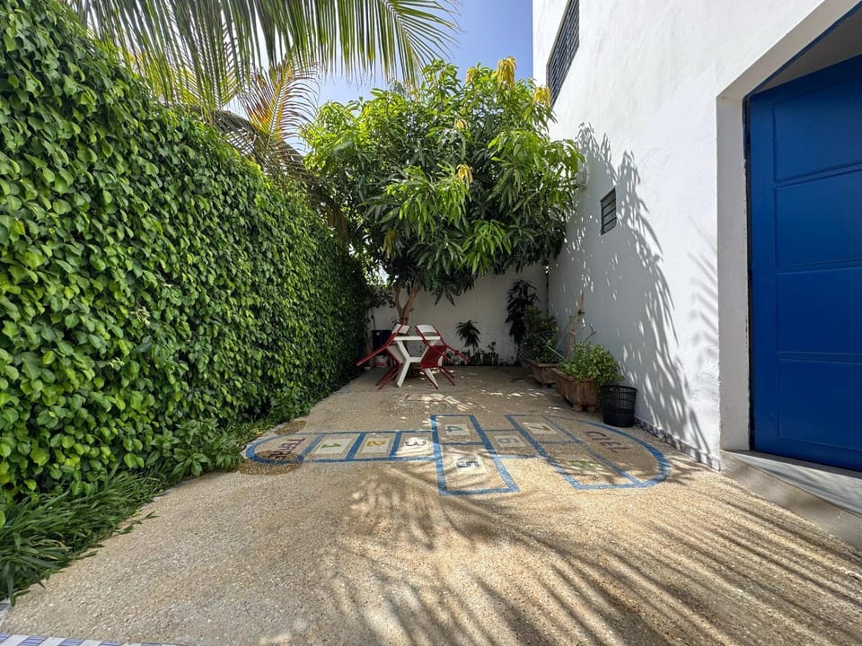 Day, Garden, Garden view