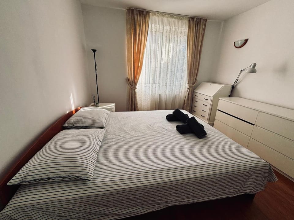 Central Elegance Apartment Apartment in Timisoara