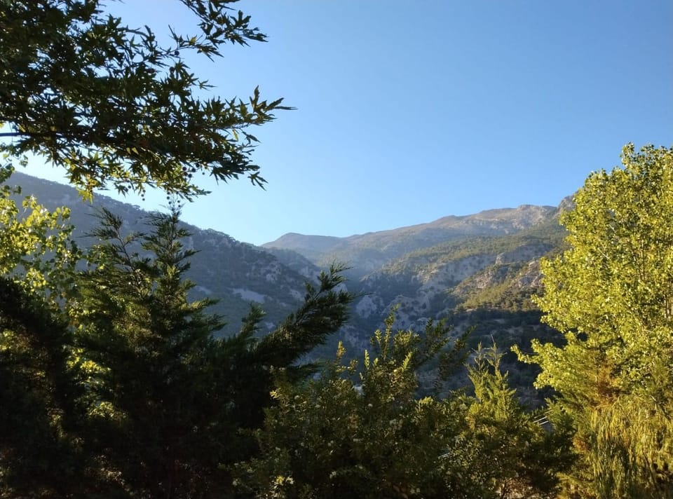 Mountain view