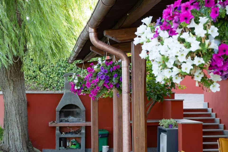 BBQ facilities, Garden