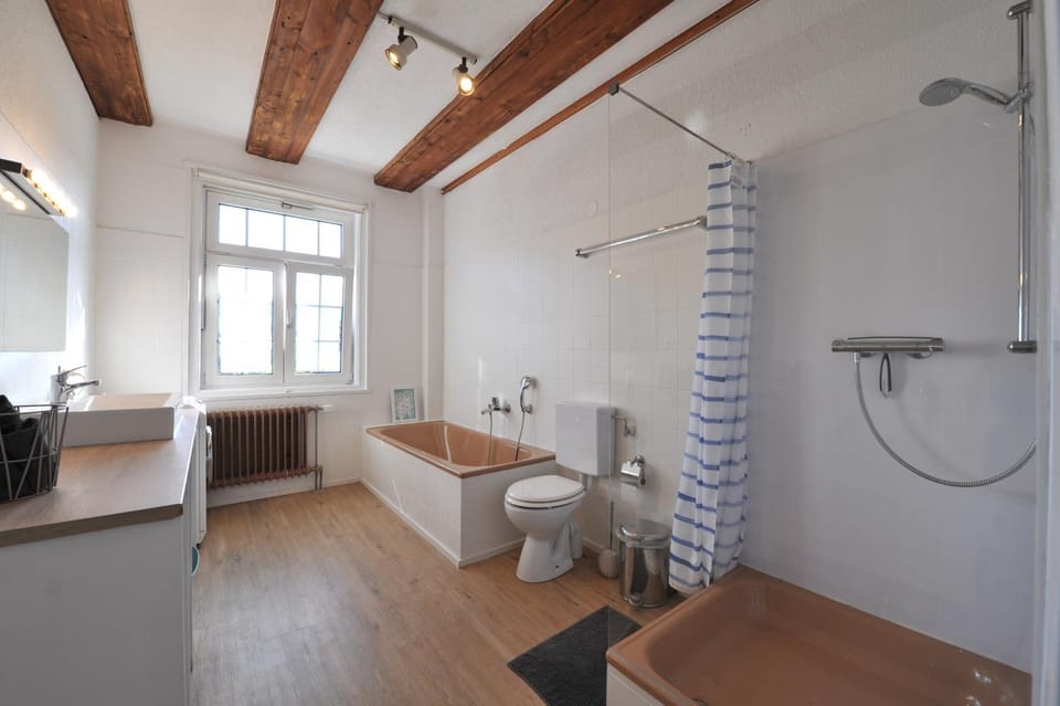 Bathroom, Living room