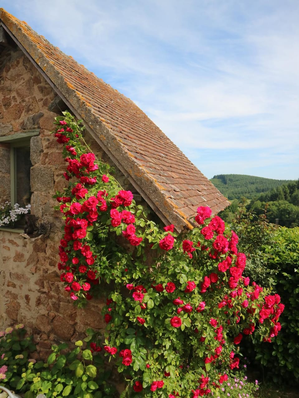 Au cœur des prés Bed and Breakfast in Bourgogne-Franche-Comté