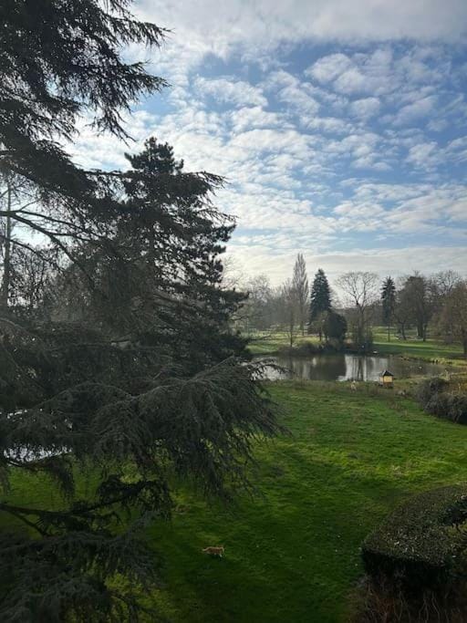Natural landscape, Garden view