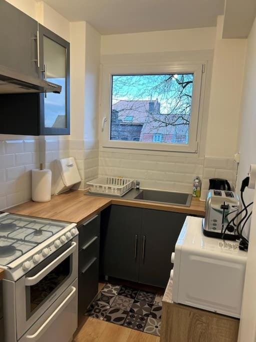 Kitchen or kitchenette, dishwasher