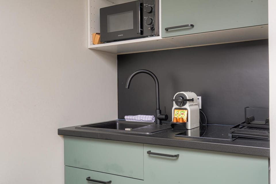 Studio cosy, climatisé, Caluire-Lyon Apartment in Caluire-et-Cuire