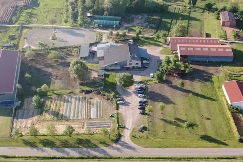 Bird's eye view, Location