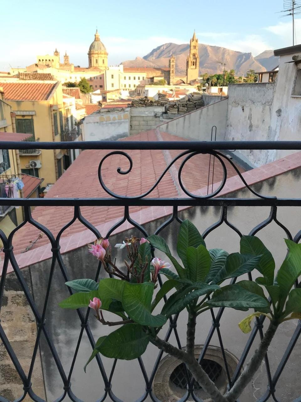 Casa Rosa Hotel in Palermo