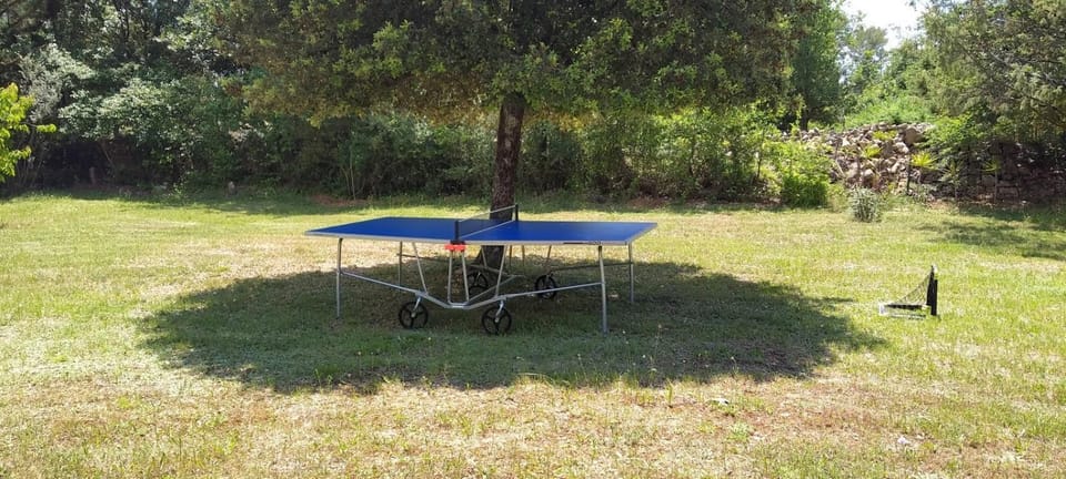 Table tennis