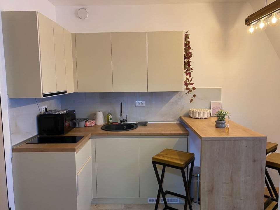 Apartman Šumarak Apartment in Zlatibor District, Serbia