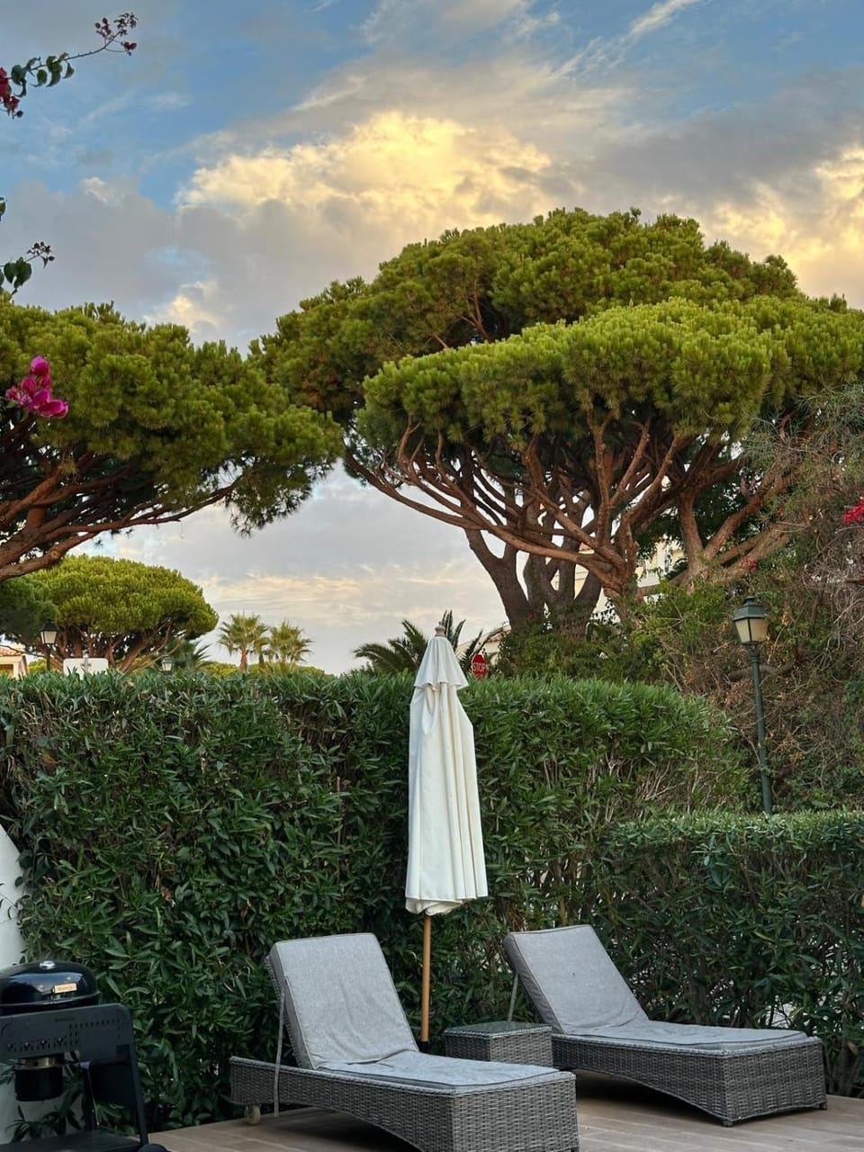 Garden, Garden view, sunbed