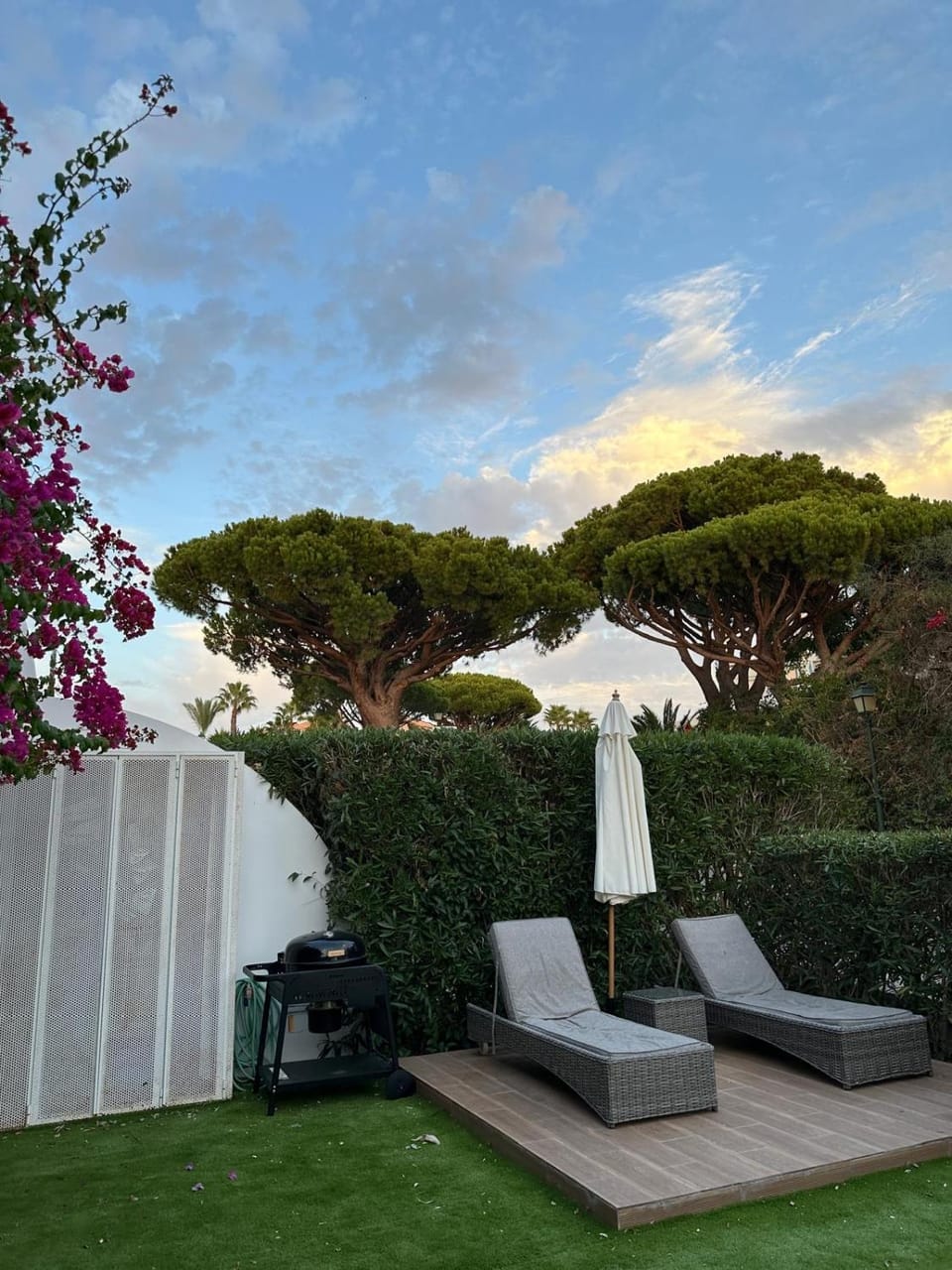 Garden, Seating area, sunbed
