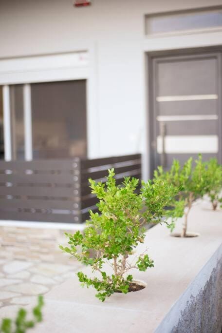 Διαμέρισμα με αυλή Apartment in Peloponnese, Western Greece and the Ionian