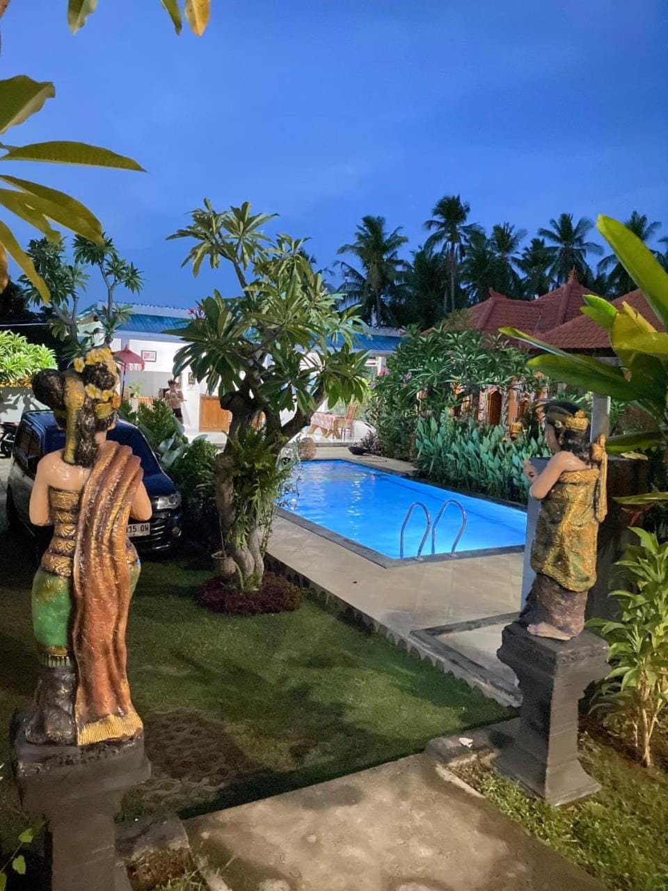 Night, Garden view, Swimming pool