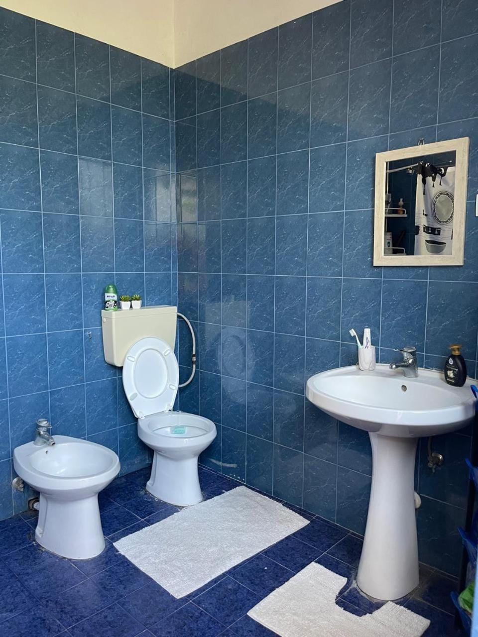 Toilet, Bathroom, bidet