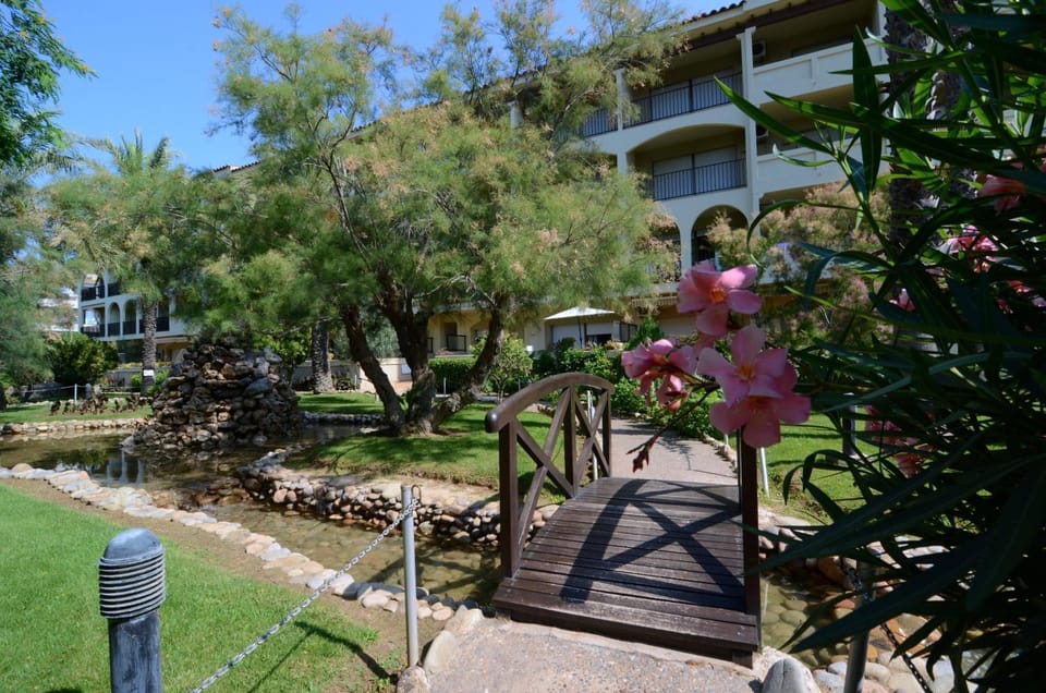 Patio, Garden, Garden view