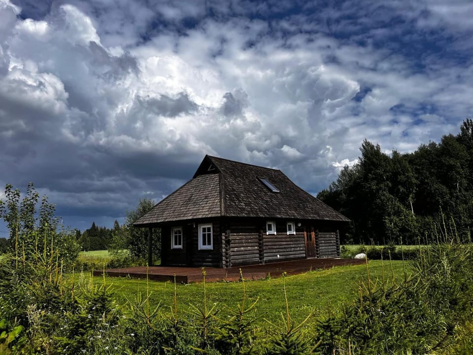 Day, Garden view
