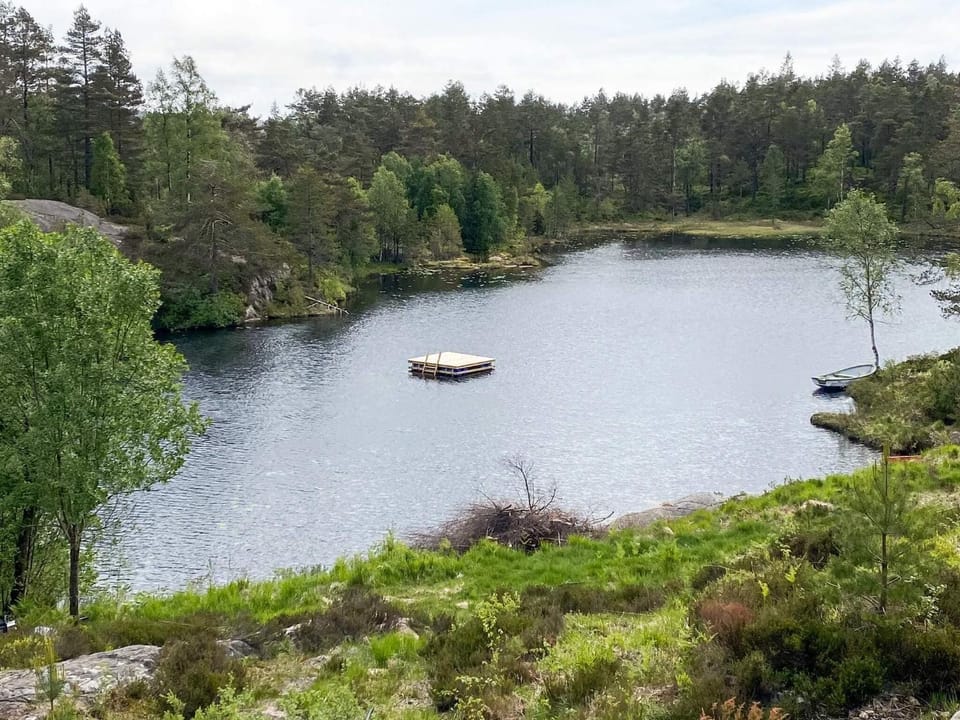 Lake view