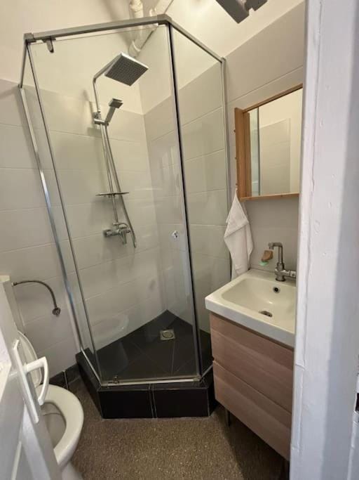 Sunflower Apartment Apartment in Cluj-Napoca