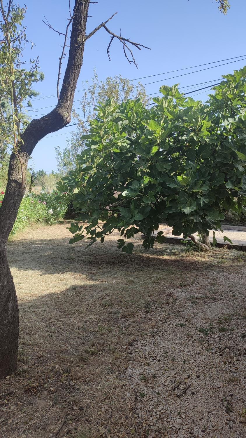 Chez Isa et Ray, gîte provençal avec jardin et boulodrome House in Provence-Alpes-Côte d'Azur