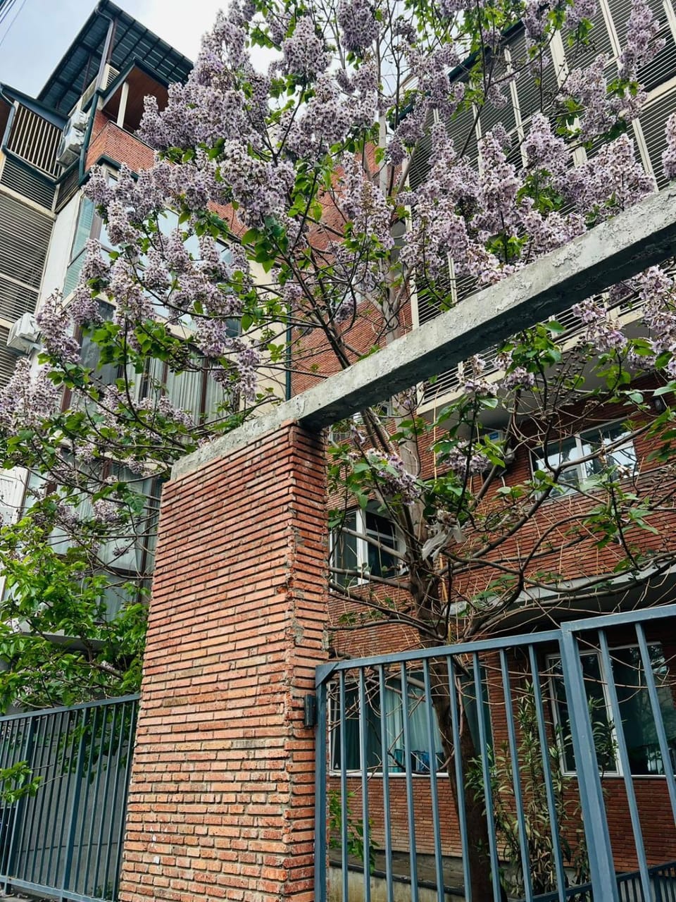 Spring, Garden, Garden view