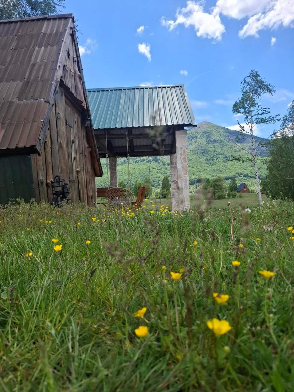 Spring, Day, Natural landscape