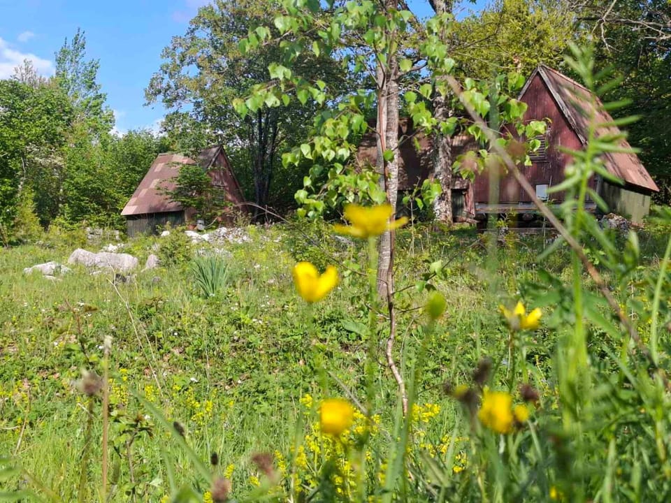 Natural landscape