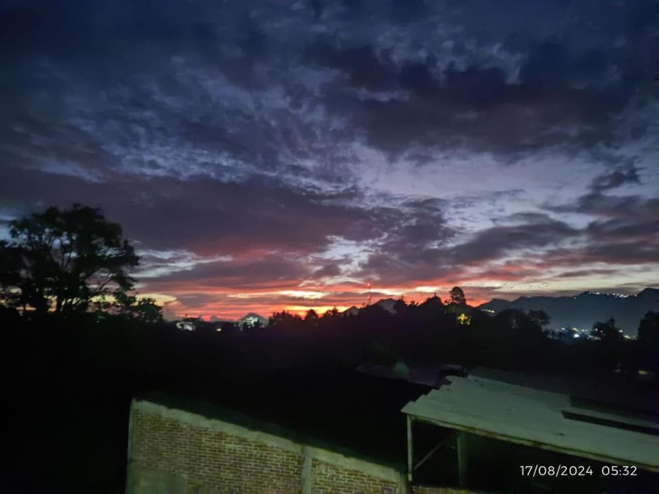 View (from property/room)