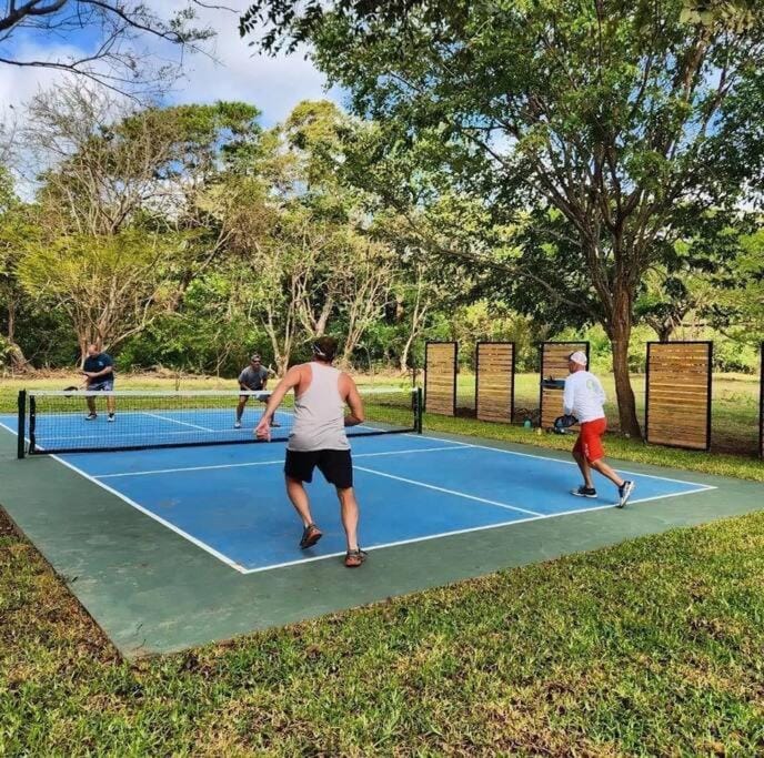 Day, Tennis court, group of guests