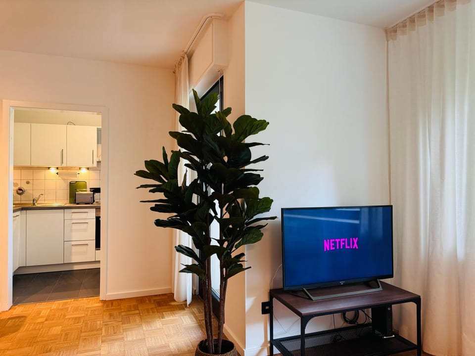 Communal lounge/ TV room, TV and multimedia