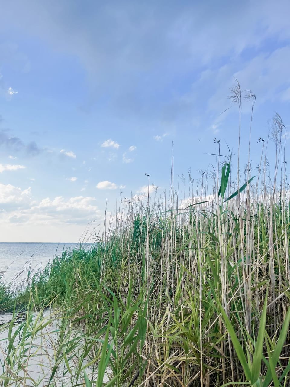 Spring, Day, Natural landscape, Beach, Sea view
