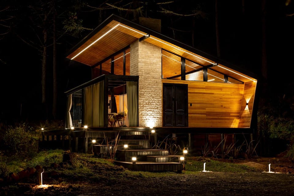 Night, Garden view